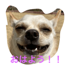 eriiiko_20220323172805