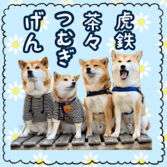 shiba...Friends