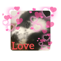 Chie_20220323193553