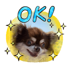 Ayumi_20220323213941