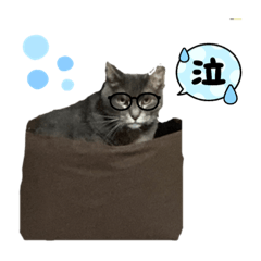 chie_20220323214420