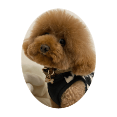 Mizuki_20220324134322