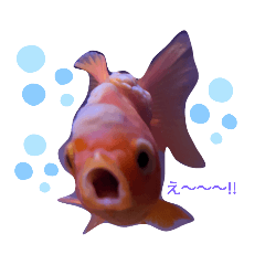 MIZUKI_20220324133546