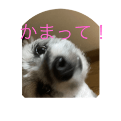 TAKERU_20220324140701