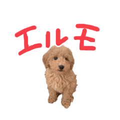 Arisa_20220323180721