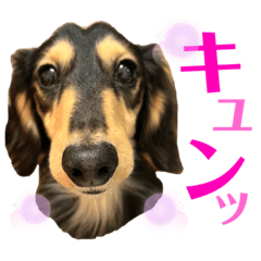 miki_20220324160452