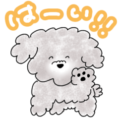 Toy poodles(silver)