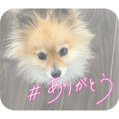 Himawari_20220324210911