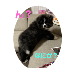 Oribia_20220324225318