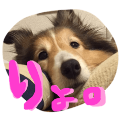 Kuwata Pal