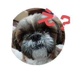 kuu_20220325083040