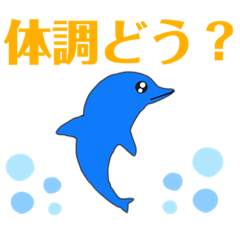 Dolphin bluecrif_20220324 codition