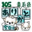 シーズー犬 105『青色系』