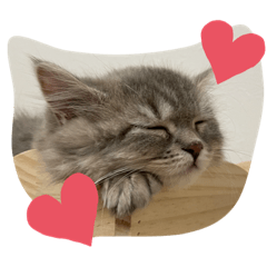 monaka_20220324223544