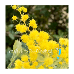 yuka_20220325125658