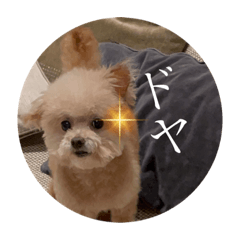 aoi_20220325130145