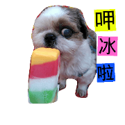 love . dog