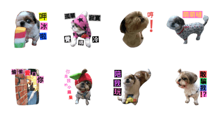 love . dog