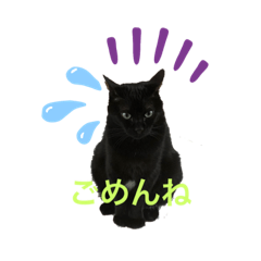 asako_20220325124108