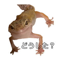 Ai_20220325172812