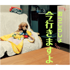 ace_20220325181024