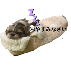 chie_20220325190033