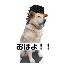 Mirukinn_20220325201044