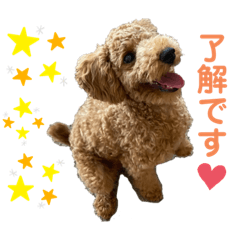 Hana_20220325224947