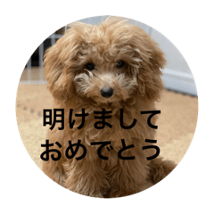 クーちゃんと一緒