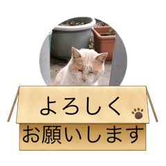 Abcdefg_20220326000055