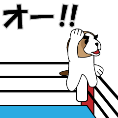 TSUYOSHI KUN49(Professional Wrestler)