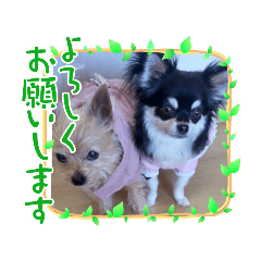 hana_20220326101304
