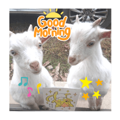 ayakappe_20220325152447