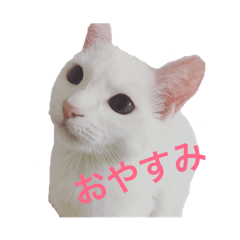 yuzu cat sticker