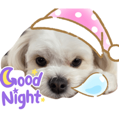 Yuka_20220325171347