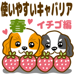 Sticker of cavalier and strawberry