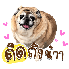 PrangPukProad