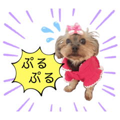 yuto_1622