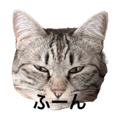 Junko_20220325202350