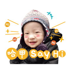 哈甲最高！！