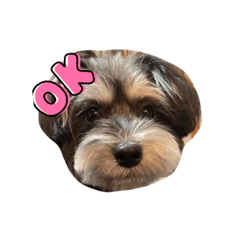 nanami_20220325222833