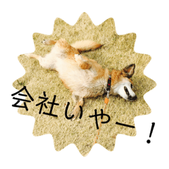 hana_20220325222452