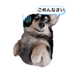 chie_20220326121737