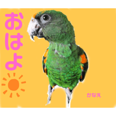 HaNa_20220326154556