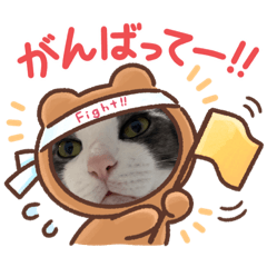 MIKI_20220326154849