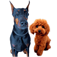 Our Doberman and Toy Poodle