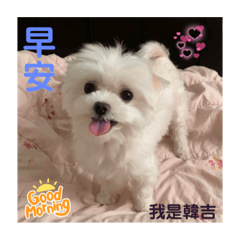 我是韓吉 韓吉是我-初體驗