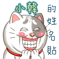 just yourcat! Korea5