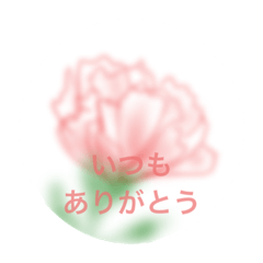 Flowers and language of flowers stickers
