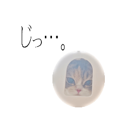 cat-salute love-cat3